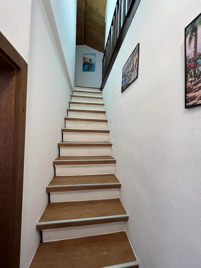 Sml Apartments 1 إيزولا المظهر الخارجي الصورة